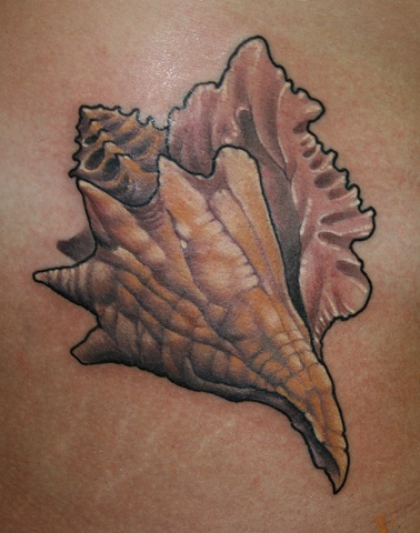 conch shell tattoo