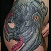 Octopus. Cover-up