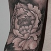 Peony sleeve