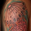 Jellyfish sleeve