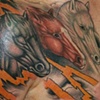 Four horses of the apocalypse.