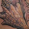Queen conch shell