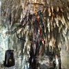 Shaman