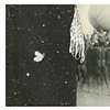 Untitled 2