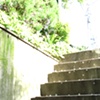 stairs to our wonderland
