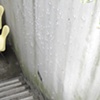 stairs to our wonderland