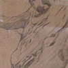Mythologistics: Used to Be A Tree