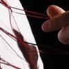 Connected Cubes