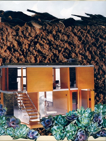 Modern Dream