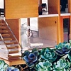 Modern Dream