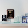 Trophy Life: Portrait of my Father from the Perspective of his Employers