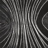Light Attractor