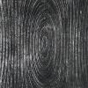 Core Resonance I