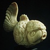 Oranda