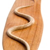 Snake Trail detail