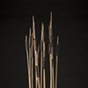 Cattails