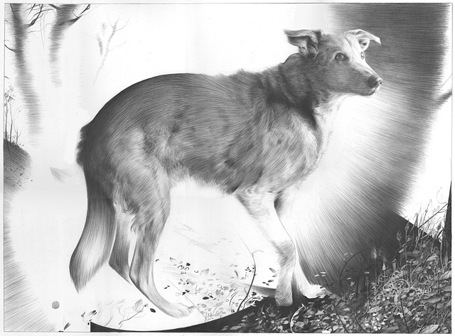 When the days of the old gray dog,
Had all been loved into evenings,
He aimed a little glance and a little thought,
At the sparkling forest he once saw,
In a younger dog�s dream.