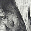 Gathering Feathers in a Forest Where Need Means Deserves