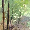 Dead Grass in the Woods