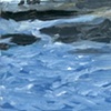 Seals on the Rocks