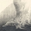 A Silent Fox