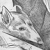 The Wolf Befriended, But Imprisoned Him
