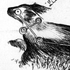 The Dog-Wolf (An Asterism)