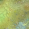 Terroir V (detail)