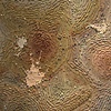 Terroir