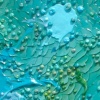 A'tuin IX (detail)