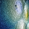 Untitled (detail)