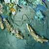 Untitled (detail)