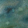 Mellis cunae
