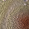 Untitled (detail 2)