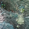Acer aggero (detail)