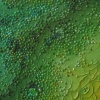 A'tuin VII (detail)