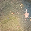 Untitled (detail)