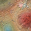 Terroir VI