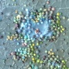 A'tuin IV (detail)