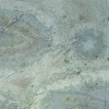 Petra lucida