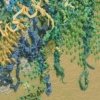 Teeming bryozoan (detail)