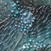 Acer aggero (detail)