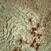 Untitled (detail 1)