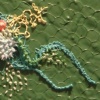 Tabete kudasai series