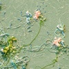 Tetsu drosera