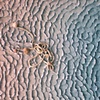 Untitled (detail)