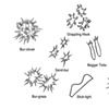 Various Burrs