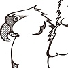 Pretty Bird....Pretty Bird