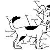 Labled Fido