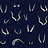 African Antlers at Night